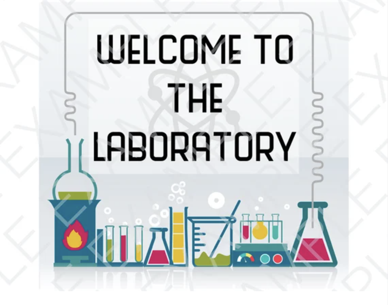 New members join the lab!