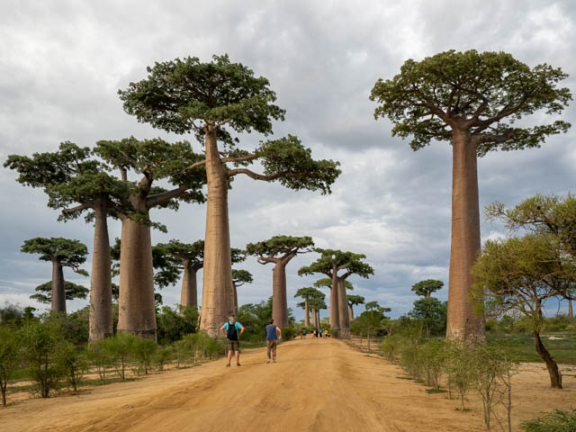 Fieldwork in Madagascar