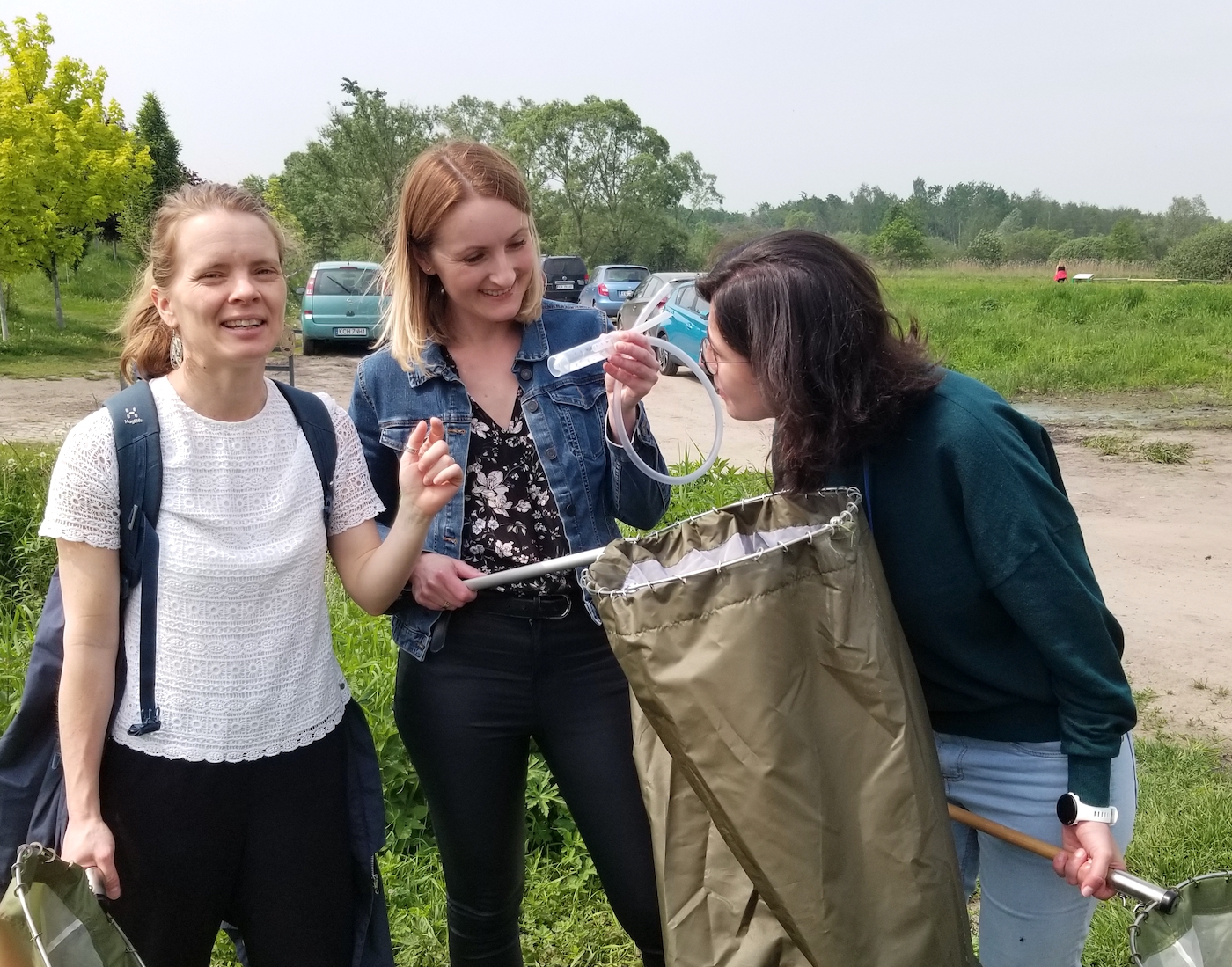 Anne, Anna, and Camila have caught some planthoppers!