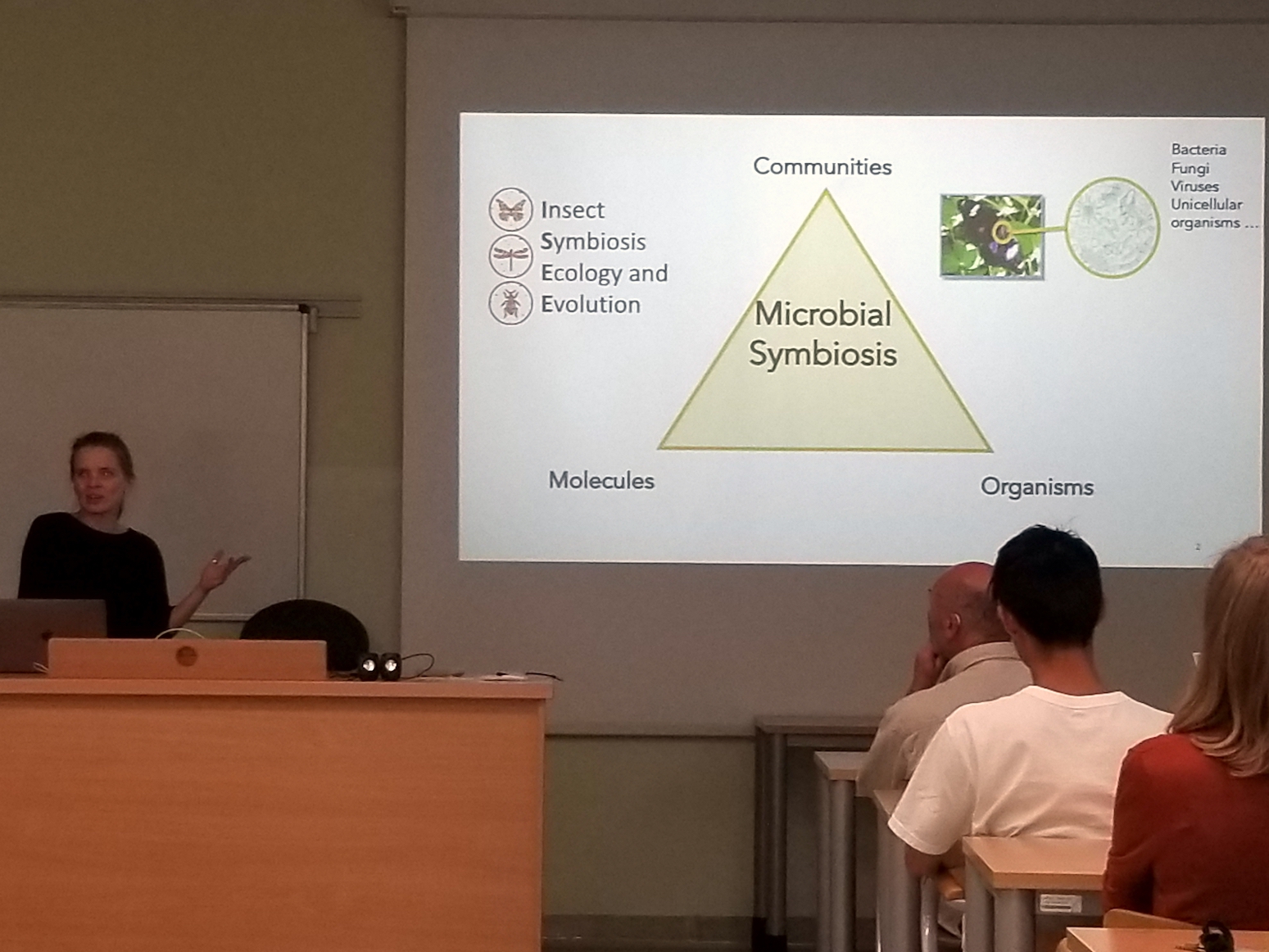 Anne's Institute Seminar
