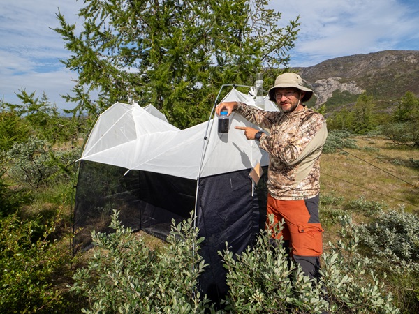 Photo of Piotr Łukasik standing next to a set up Malaise trap in Greenland.